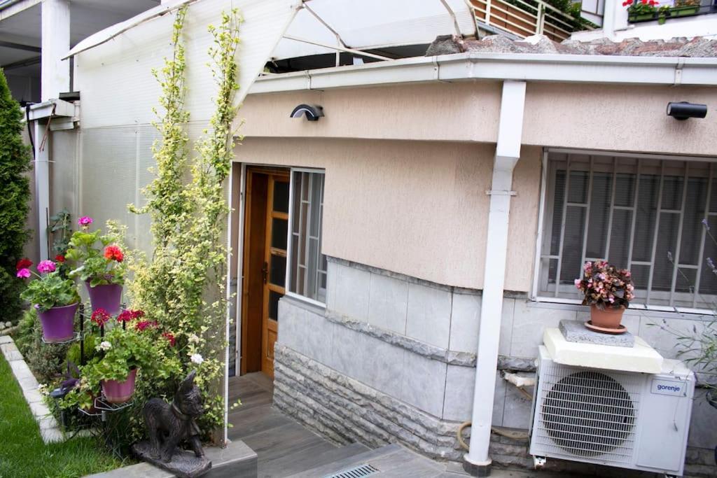 Vini Studio With Private Parking スコピエ エクステリア 写真