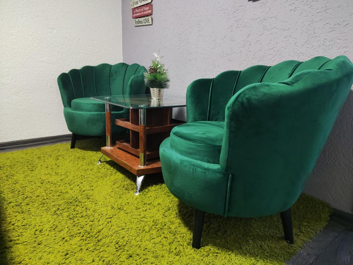 Vini Studio With Private Parking スコピエ エクステリア 写真